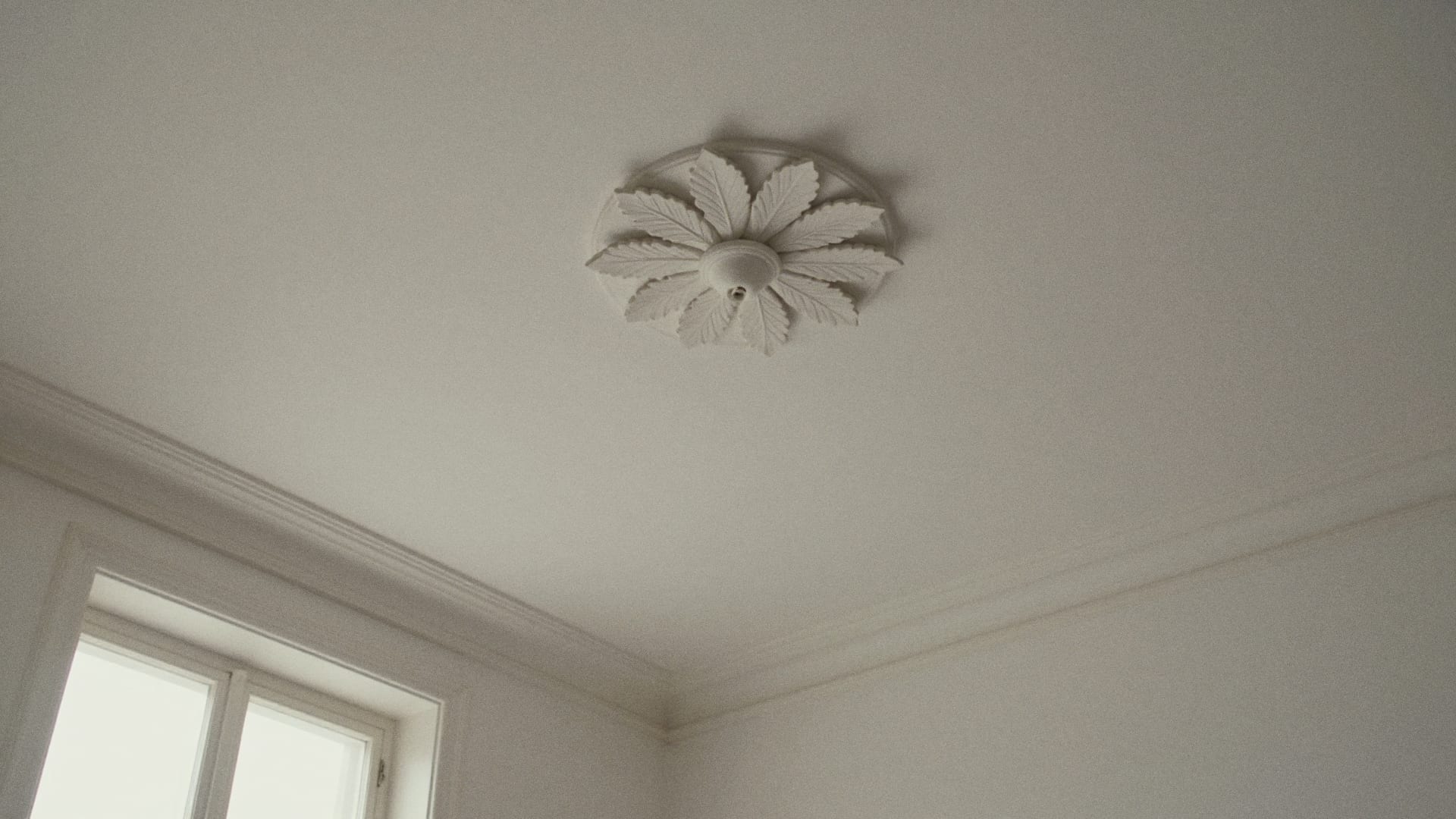 Witte gipsen rozet met bladmotief en een brede sierlijst op het plafond van een oud herenhuis