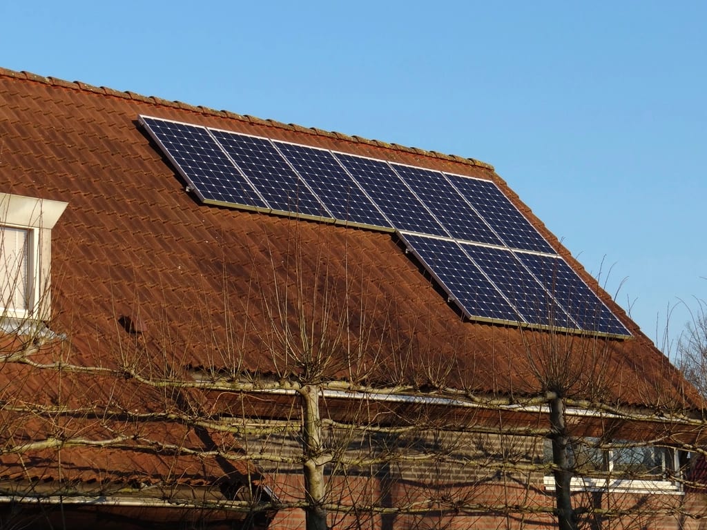 Woonkamer met warme aardetinten op de wand en bijpassend meubilair