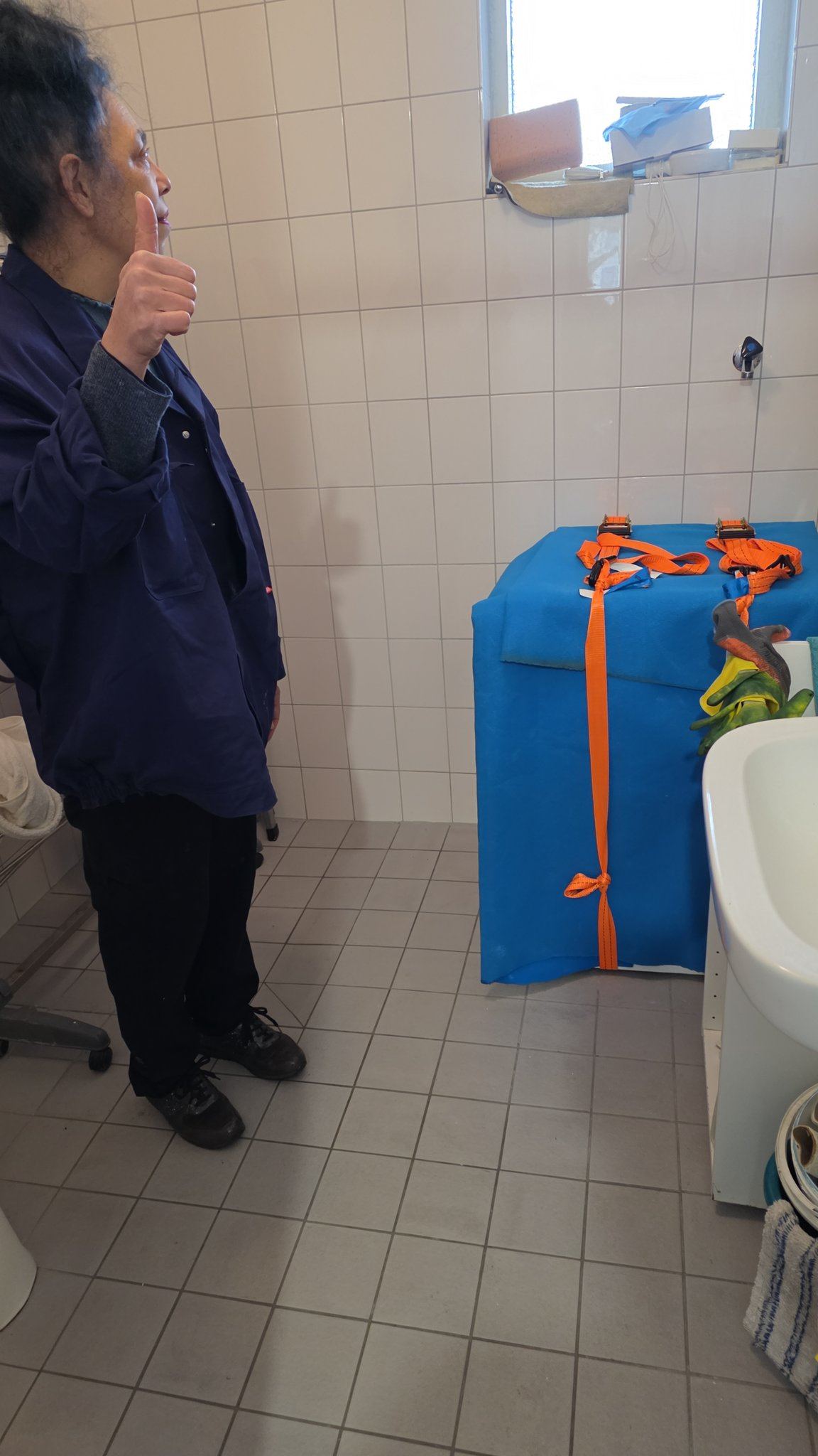 verhuishulp