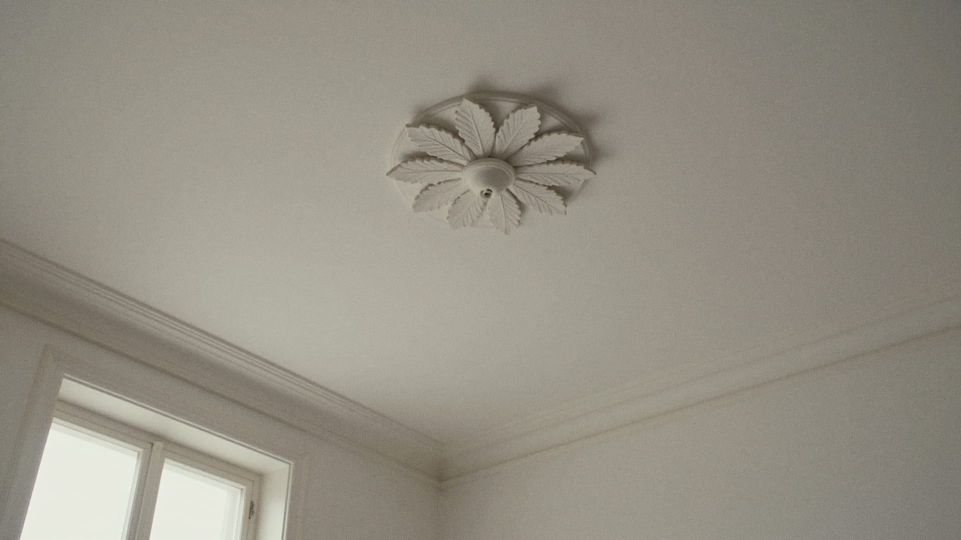 Witte gipsen rozet met bladmotief en een brede sierlijst op het plafond van een oud herenhuis